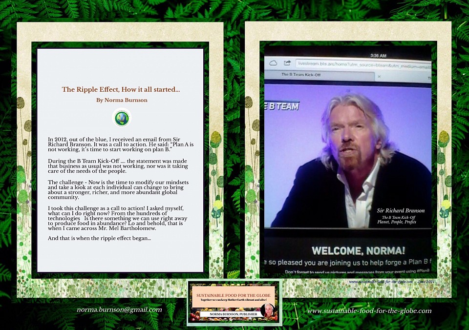 Sir Richard Branson Plan B virtual meeting.
